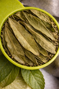Soursop Leaf Tea