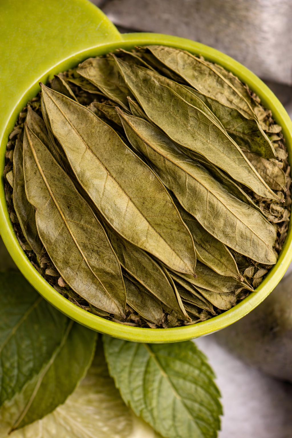 Soursop Leaf Tea